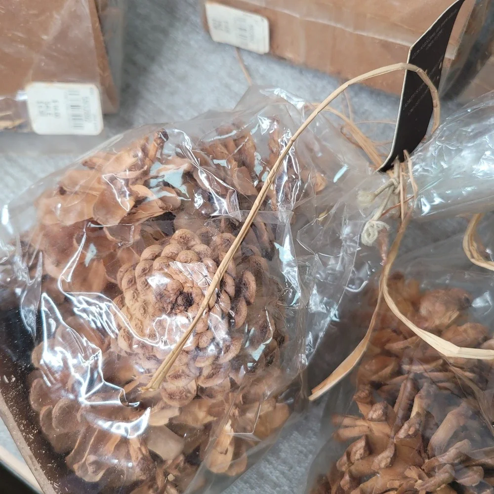 Pottery Barn Small Bleached Pinecones 5 Bags Decorative Bowl or Vase Filler NEW